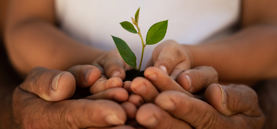 Environmentally responsible office coffee.